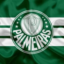 Palmeiras FC